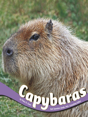 cover image of Capybaras